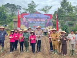 Dukung Swasembada Pangan 2025, Pj. Bupati Nukman Lakukan Penanaman Jagung Serentak Satu Juta Hektar.