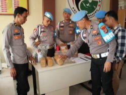 Propam Polres Pringsewu Laksanakan Pengecekan Barang Bukti Sitaan