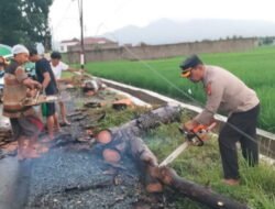 Polri Sigap Bencana: Kapolsek Gedong Tataan Polres Pesawaran Terjun Lapangan Atasi Pohon Tumbang Akibat Hujan Lebat