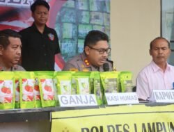 4 Kg Ganja Diamankan Polisi, Modus Teh Kemasan Rasa Buah