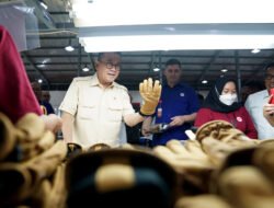 Pelepasan Ekspor Produk Working Glove ke Amerika Serikat