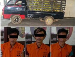 Polisi Tangkap 3 Pelaku Pencuri Satu Mobil Buah Kelapa Di Malam Hari