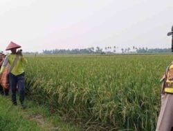 Meninggalnya Warga Desa Palas Jaya, Polsek Palas Tangani Kejadian dengan Cepat