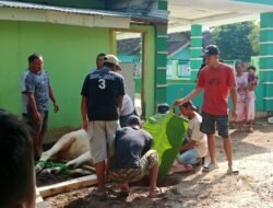 Perayaan Idul Adha 2025 di Mushola Al Ma’un Adi Mulyo 3 Berjalan Lancar dan Khidmat