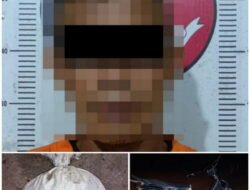 Pencurian Ringan Getah Karet, Polisi Amankan Diduga Pelaku Curi Latex di Kebun Karet Afdeling VII