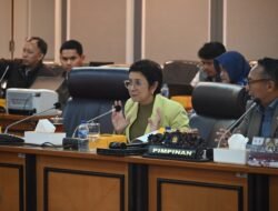 Nurul Arifin Pertanyakan Sejumlah Wilayah Udara Indonesia Dikendalikan Asing