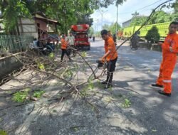 Tim Reaksi Cepat Evakuasi Pohon Tumbang di Bandar Lampung