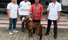 berita-pilihan-foto